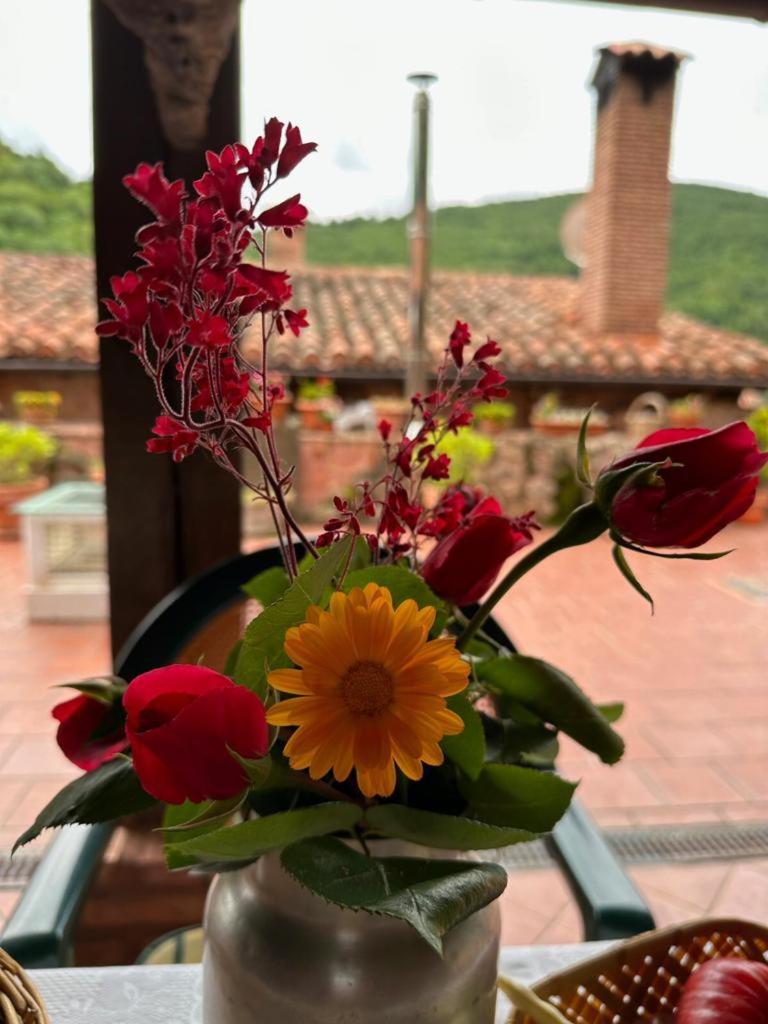 Ezcaray Turza Casa Rural Completa Hasta 8Pax Exteriör bild